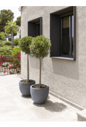 Fiberstone Jesslyn S Grau