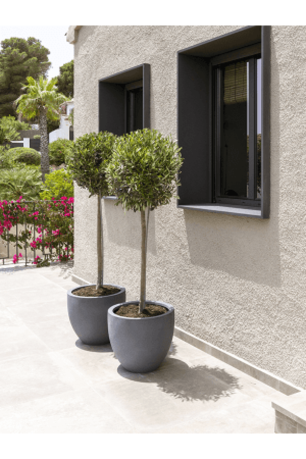 Fiberstone Jesslyn S Grau