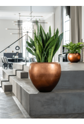 Valencia Silberblatt Rund L