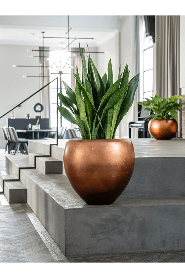 Valencia Silberblatt Rund L