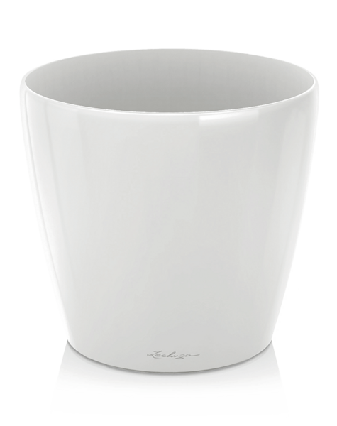 Lechuza Lechuza - Kopieren