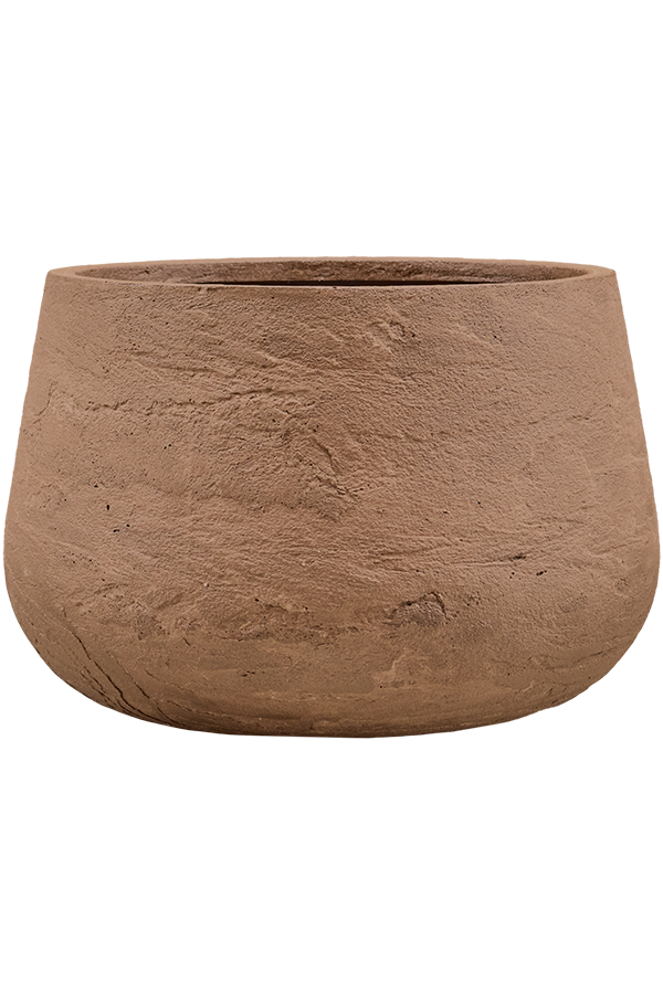 Baq Algar Darcy White