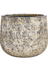 Baq Atlas Darcy Brown