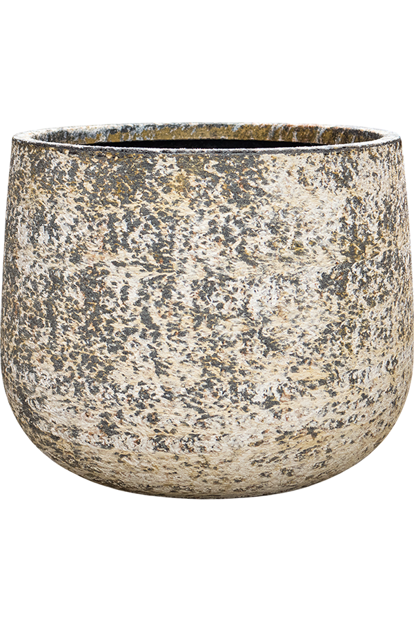 Baq Atlas Darcy Brown