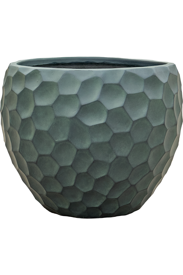 Baq Tortuga Couple Schokoladenbraun