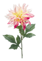 Dahlie Kunstpflanze - Verkauf