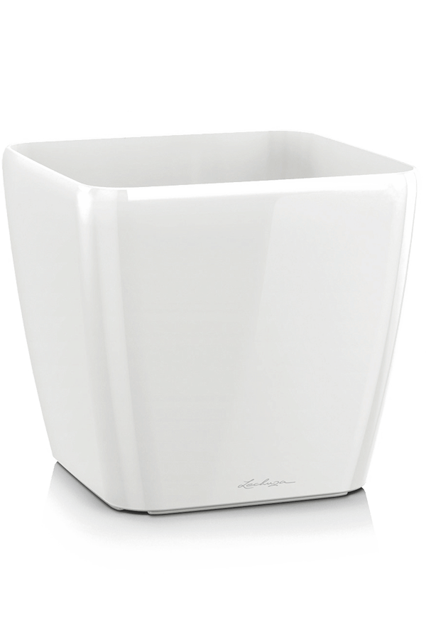 Lechuza Quadro Anthrazit