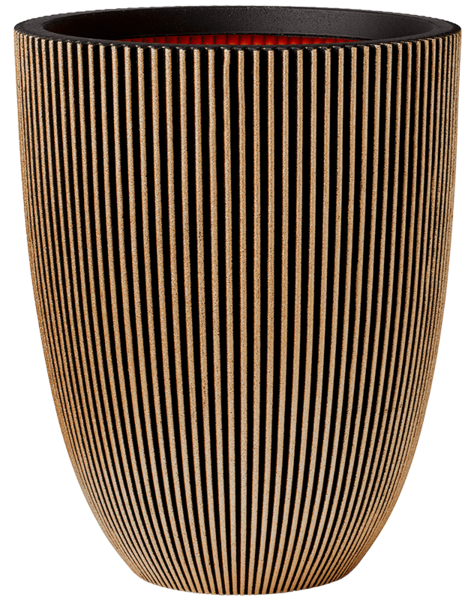 Capi Capi – Sonderangebot