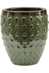 Laos Mini Emperor Schwarz