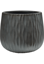 Wave Pax M, Fossil gewaschen