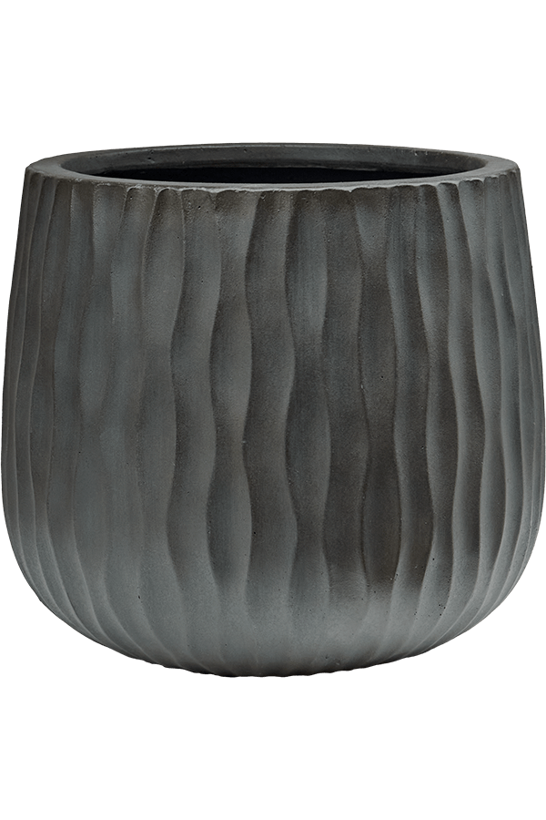 Wave Pax M, Fossil gewaschen