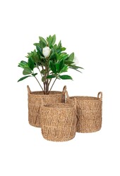 Krabi Basket - Mand, zeegras, naturel, set van 3