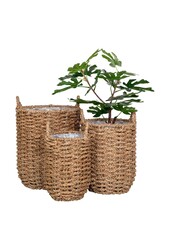 Hue Planter – Pflanzgefäß, Seegras, rund, naturfarben, 3er-Set