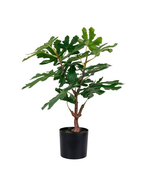 Feigenbaum – Grün, PE-Kunststoff, H: 60 cm