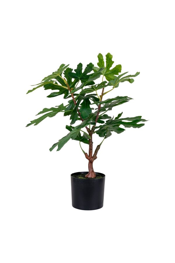 Feigenbaum – Grün, PE-Kunststoff, H: 60 cm