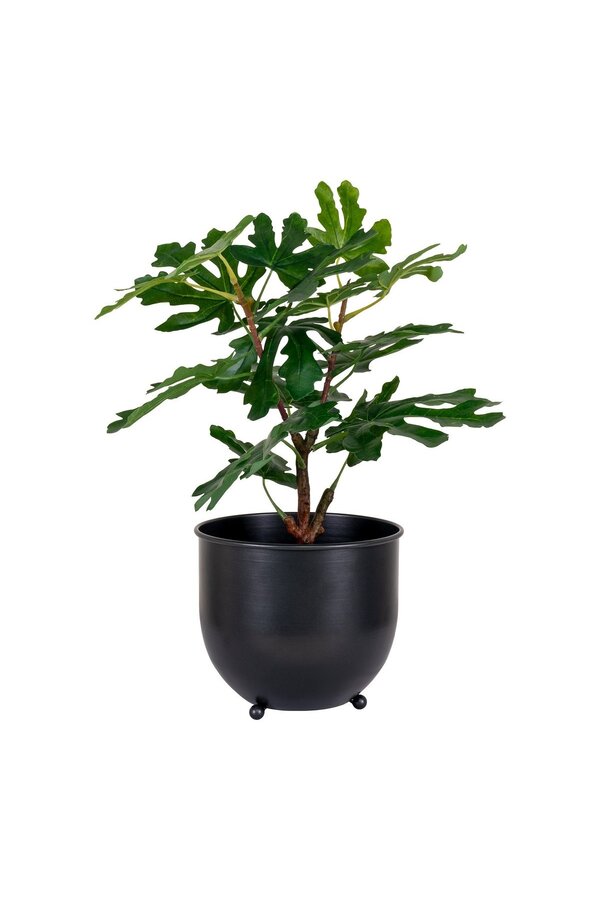 Feigenbaum – Grün, PE-Kunststoff, H: 60 cm