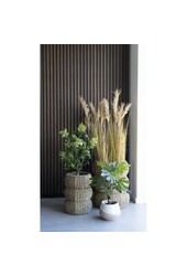 Feigenbaum – Grün, PE-Kunststoff, H: 60 cm