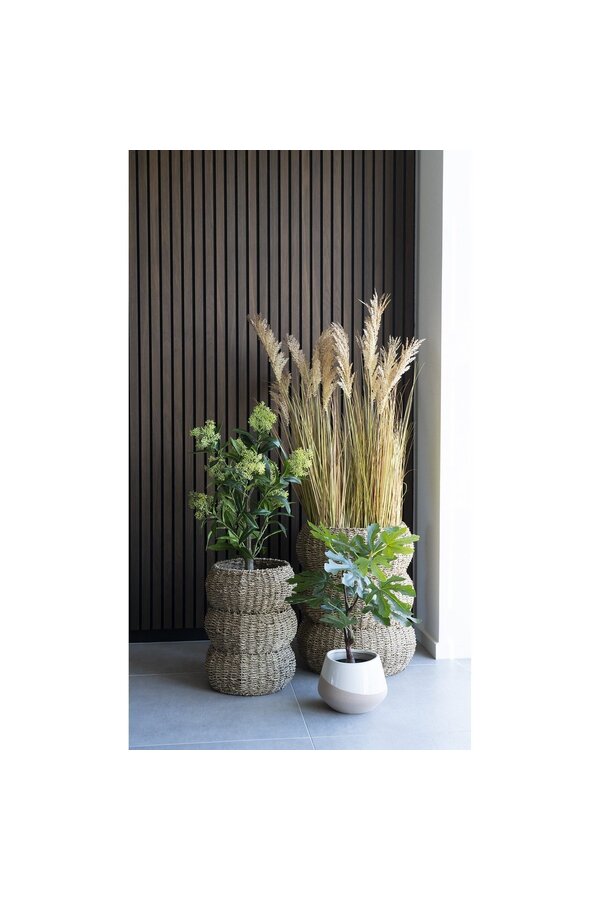 Feigenbaum – Grün, PE-Kunststoff, H: 60 cm