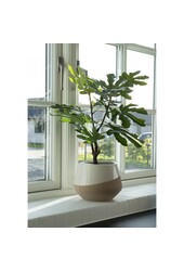 Feigenbaum – Grün, PE-Kunststoff, H: 60 cm