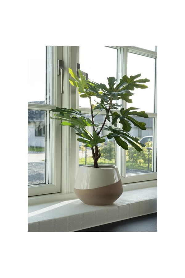 Feigenbaum – Grün, PE-Kunststoff, H: 60 cm