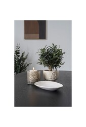 Blumentopf