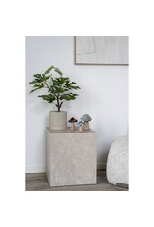 Dekoration Pilze