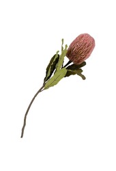 King Protea Bouquet – Kunstblumen, Rosenmix, 74 cm