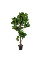Fiddle Leaf Tree – Grün, PE-Kunststoff/Polyester, 81 x 93 x 190 cm