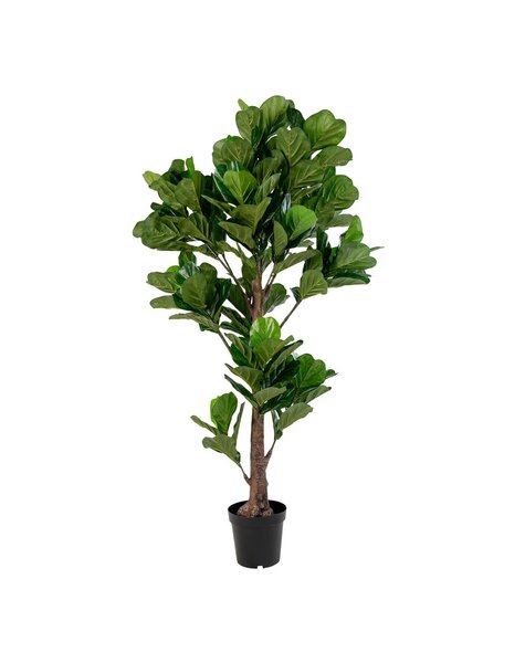 Fiddle Leaf Tree – Grün, PE-Kunststoff/Polyester, 81 x 93 x 190 cm
