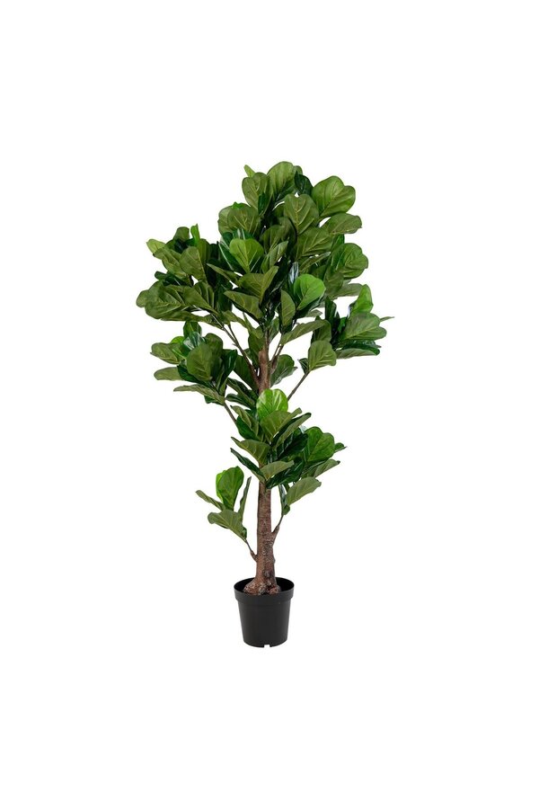 Fiddle Leaf Tree – Grün, PE-Kunststoff/Polyester, 81 x 93 x 190 cm