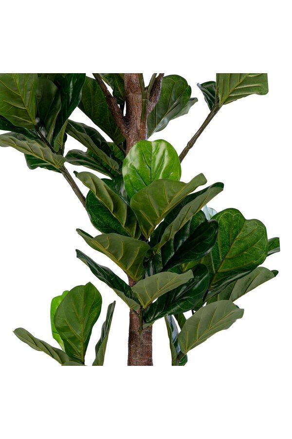 Fiddle Leaf Tree – Grün, PE-Kunststoff/Polyester, 81 x 93 x 190 cm