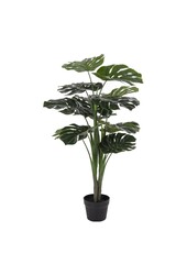 Monstera – Grün, PE-Kunststoff/Polyester/Draht/Zement, 17 x 18 x 90 cm