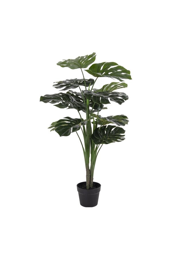 Monstera – Grün, PE-Kunststoff/Polyester/Draht/Zement, 17 x 18 x 90 cm