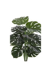 Monstera – Grün, PE-Kunststoff/Polyester/Draht/Zement, 17 x 18 x 90 cm