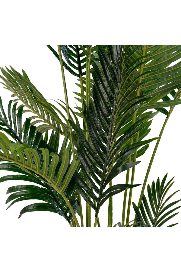 Areca-Palme – Grün, PE-Kunststoff/Polyester, 64 x 64 x 175 cm