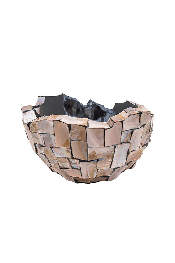 Exklusive braune Muschelschale