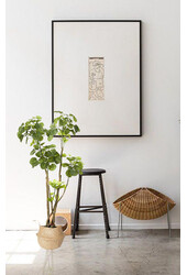 Polyscias L Kunstpflanze