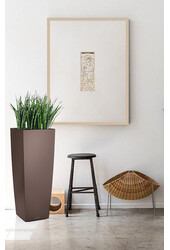 Sansevieria Cylinder Selbstbewässernd Alto