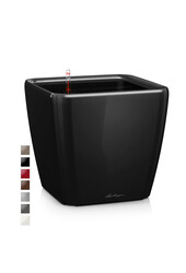 Quadro All-Inclusive XL