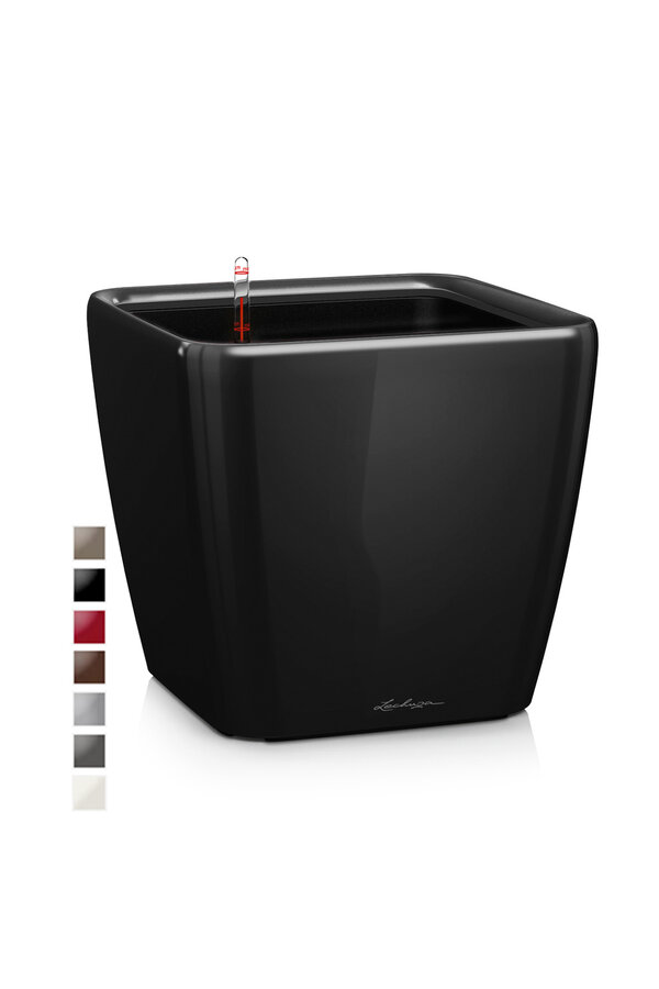 Quadro All-Inclusive XL