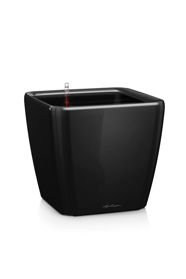 Quadro All-Inclusive XL