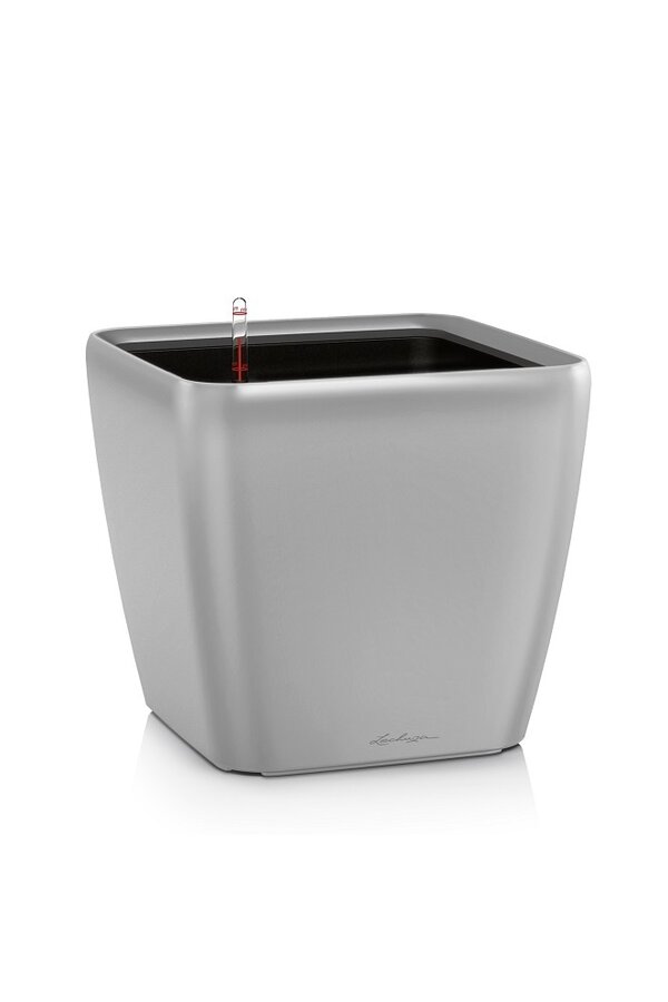 Quadro All-Inclusive XL