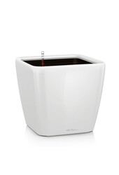 Quadro All-Inclusive XL