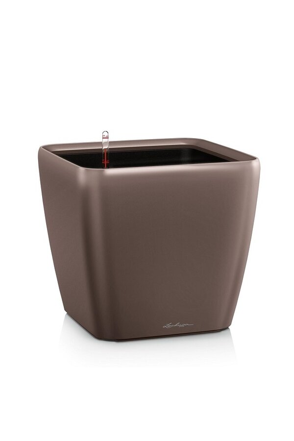 Quadro All-Inclusive XL