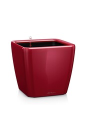 Quadro All-Inclusive XL