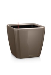 Quadro All-Inclusive XL