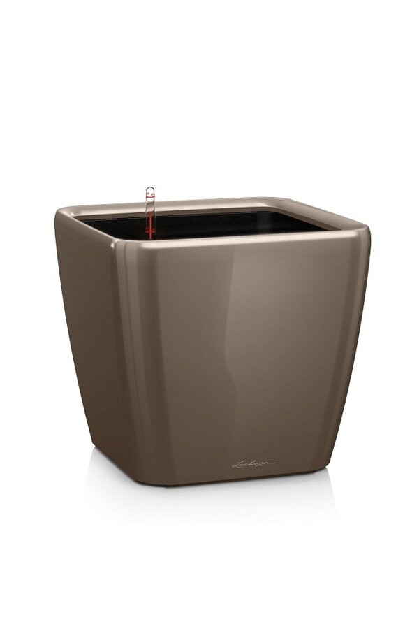 Quadro All-Inclusive XL