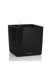 Premium Brick All-Inclusive S