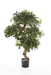 Pittosporum Mountain Kunstpflanze