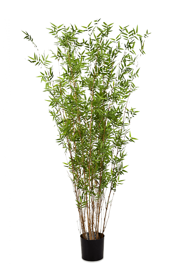 Bamboo Oriental Kunstpflanze